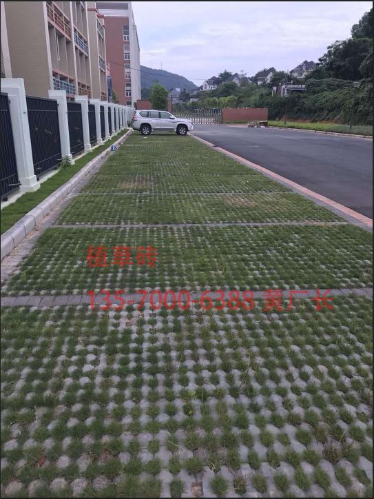 廣州蘿崗小區(qū)灰色井字植草磚工程